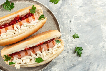 Hot dog grilled sausage in a bun with sauces on a light background top view. place for text