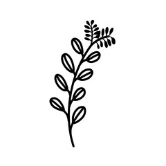 Floral Branch Silhouette