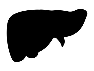 Liver silhouette vector art