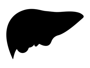 Liver silhouette vector art