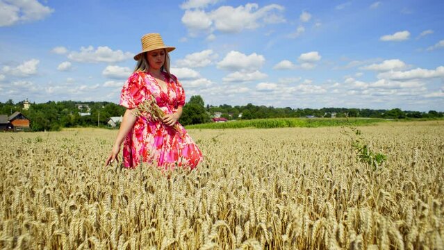 A woman in a pink dress with a bouquet in her hands walks through a wheat field. Ears of wheat are a symbol of freedom and fertility. High quality 4k footage