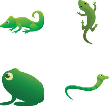 Reptile class icons set cartoon vector. Tropical fauna. Zoology and wildlife