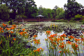 Pond at Japanese Garden in Wroclaw, Poland. The garden was founded in the years 1909–1913 as an exotic botanical garden and is located in the Srodmiescie district, near the Centennial Hall.