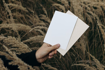 Kids hand holding blank greeting card, invitation mockup with craft envelope outdoor. Closeup of childs fingers. Blurred meadow with field of dry grass, selective focus. Summer, autumn season.
