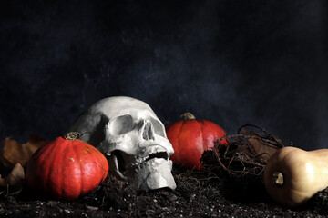 Skull and pumpkins in the fog on the ground. Halloween holiday event concept. Plaster skull on the...