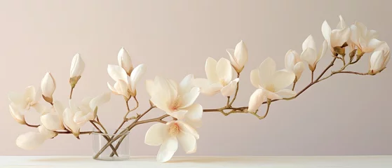 Fotobehang Minimalist wedding arrangement of magnolia petals. Jewellery, glamorous fashion event card, bridal invitation.  © Dannchez