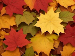 Naklejka na ściany i meble Autumn maple leaves, lovey day