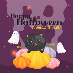 Halloween cat with pumpkins and ghosts vector social media template