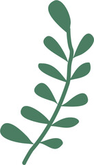 leaf isolated on white background