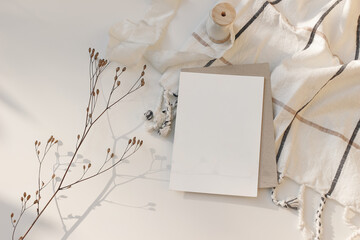 Winter still life. Blank Christmas greeting card, invitation mockup with dry flower and craft paper envelope in sunlight. Soft shadows. White checkered plaid on table. Festive flatlay, top view.