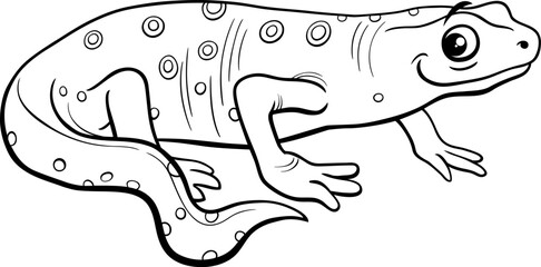 cartoon newt amphibian animal character coloring page - obrazy, fototapety, plakaty