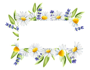 Watercolor frame and logo with lavender, sage and chamomiles illustration isolated on white background. Detail of beauty products and botany set, cosmetology and medicine. For designers, spa decora