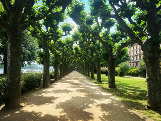 path in the park
