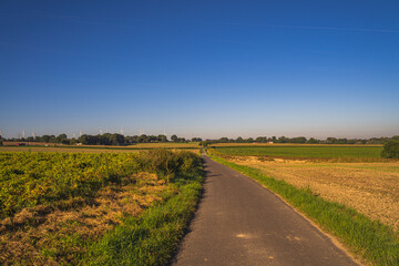 Ein langer Weg durch die leeren Felder mit blauem Himmel.