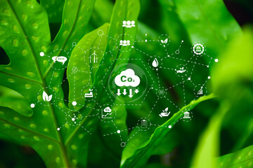 icon reduce CO2 emission concept on green leaves Sustainable development, Concept depicting the...