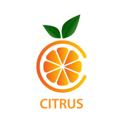 The concept of vitamin C, citrus fruits, healthy. Natural vitamin. Аbstract slice of orange in the form of the letter C. Can be used for a logo, icon, on web pages.