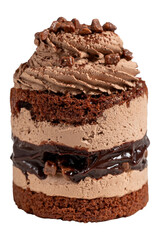 Chocolate and cocoa cake. Layer cake with fresh chocolate cream isolated on white background. Close up