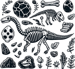 Dinosaur skeleton and fossils. Dinosaur bones, rocks, footprints, plants and eggs. Black and white...