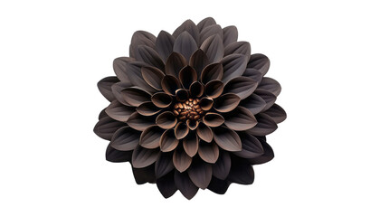 black flower isolated on transparent background cutout