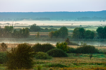 Fog over a meadow in a river valley with trees and bushes. Morning picturesque landscape with forest over the horizon © Vlad Kazhan
