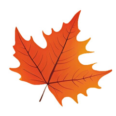 Fototapeta premium Autumn Leaf