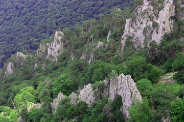 mountain rocks in valley