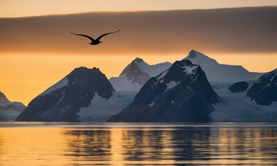 Sea bird flying over the silhouetted mountains with the golden light