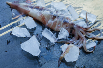 Fresh cleaned squid with crushed ice, sliced, on a dark background. Cooking.