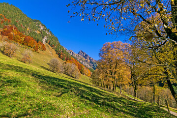 Allgäu - Gerstruben - Herbst - Bäume - eingefärbt - Oberstdorf 