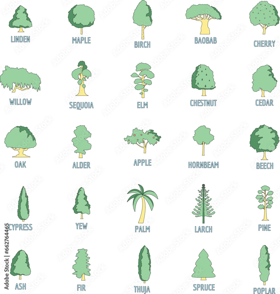 Poster tree types icons set. outline illustration of 25 tree types vector icons thin line color flat on whi
