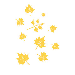 maple leaf fall illustration