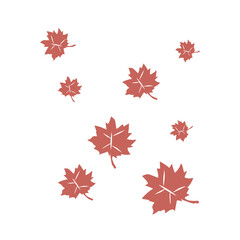 maple leaf fall illustration