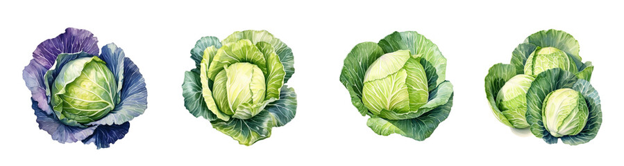 Fototapeta premium Watercolor fruits and vegetables on white background
