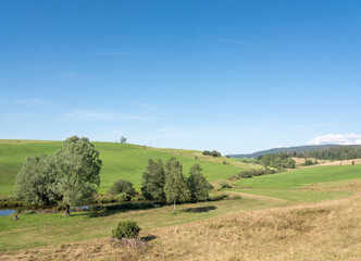 Fototapeta na wymiar green jura countryside landscape in france