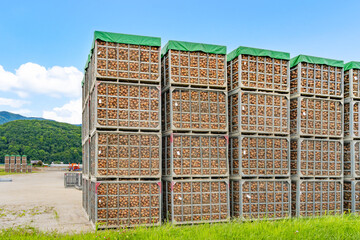 Fototapety na wymiar - Fototapeta24.pl