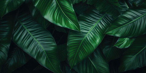 Abstract background of tropical leaves. Nature Concept.. - obrazy, fototapety, plakaty