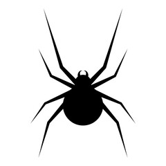 Black spider icon isolated on white background