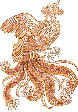 Beautiful line art of Phoenix for tattoo design on background.Phoenix vector for printing on shirt.Golden vector illustration for doodle art and coloring book on white isolated background.