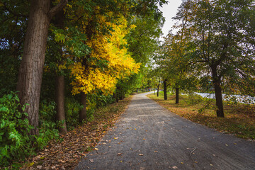 Fototapeta na wymiar Piękna złota jesień w Polskim parku. Kolorowe liście drzew wczesną jesienią