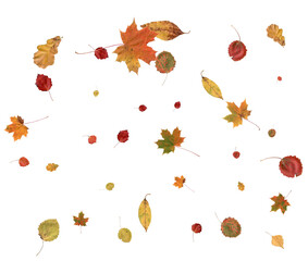 Luxury autumn backdrop.