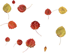 Realistic autumn background.