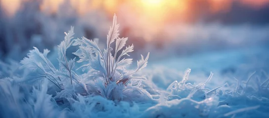 Zelfklevend Fotobehang Winter season outdoors landscape, frozen plants in nature on the ground covered with ice and snow, under the morning sun - Seasonal background for Christmas wishes and greeting card © mozZz