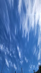 Obraz premium sky and clouds