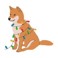 Christmas Shiba Inu in hand drawn style. Merry Christmas illustration of cute pet with accessory.  Flat vector illustration isolated on white background