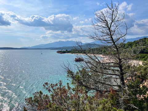 Bord de mer