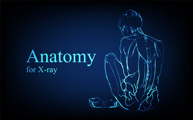 Human anatomy in front on x ray view. Anatomy human body connection, Medical, educational or science banner on futuristic blue background, Vector hand drawn illustration