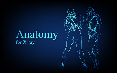 Human anatomy in front on x ray view. Anatomy human body connection, Medical, educational or science banner on futuristic blue background, Vector hand drawn illustration