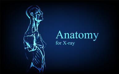 Human anatomy in front on x ray view. Anatomy human body connection, Medical, educational or science banner on futuristic blue background, Vector hand drawn illustration