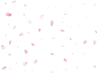 Realistic Cherry Petals