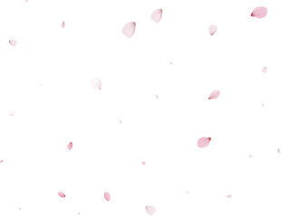 Realistic Cherry Petals